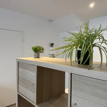 Cosya Appartement Montréjeau